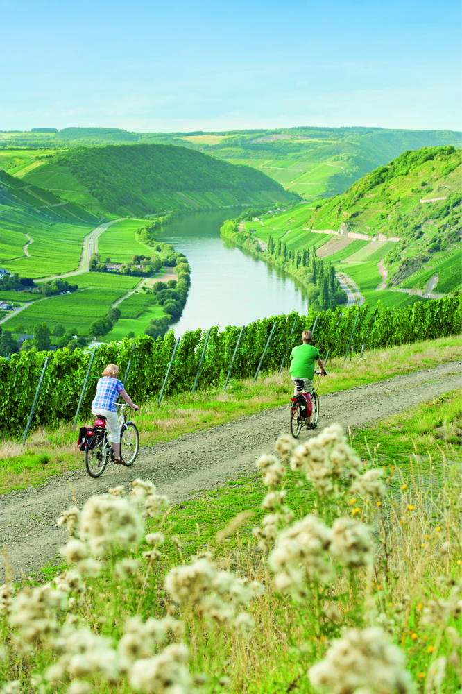 Radfahren an der Mosel