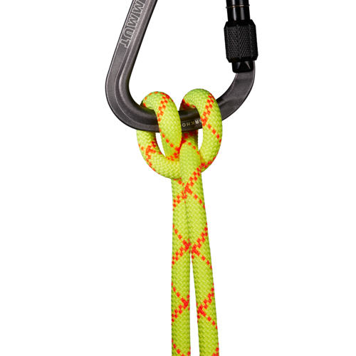 9.5 Alpine Core Protect Dry Rope