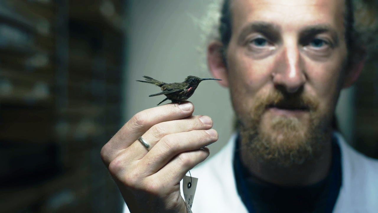  Een andere kijk - Jeroen Venderickx met de kleinste vogel ter wereld 2