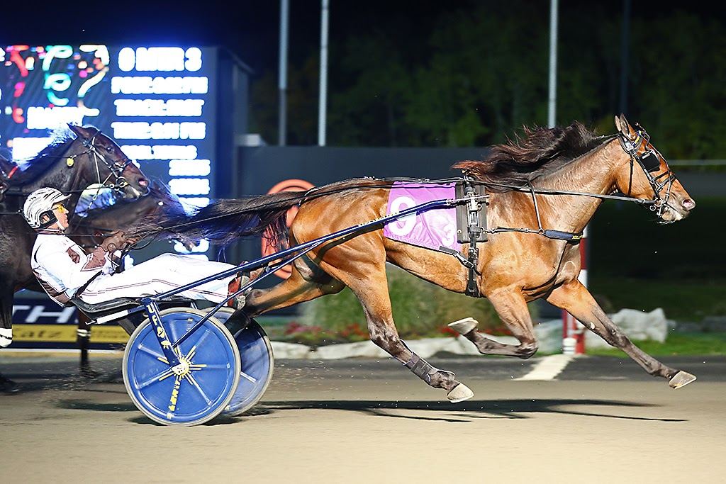 Joviality S and driver Brian Sears winning the 3 Year Old Filly Trot Breeders Crown Elimination on Saturday October 22 at Woodbine Mohawk Park (New Image Media)