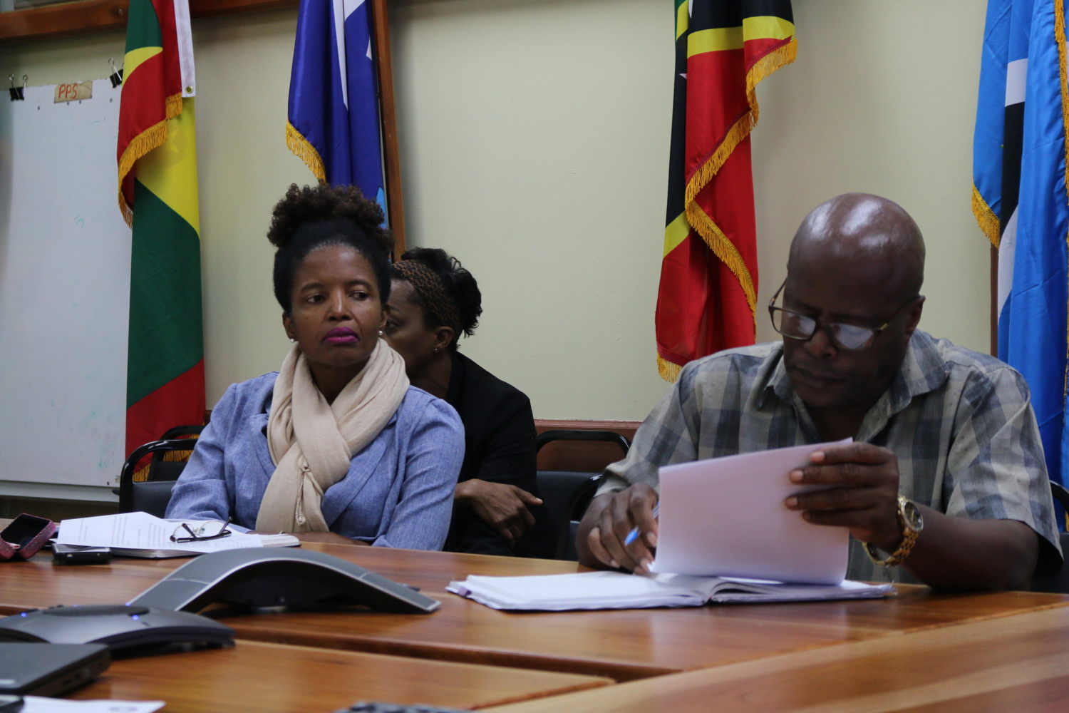 The ‘OECS Trade Vista for Food and Agriculture’ portal being presented at the OECS Commission 