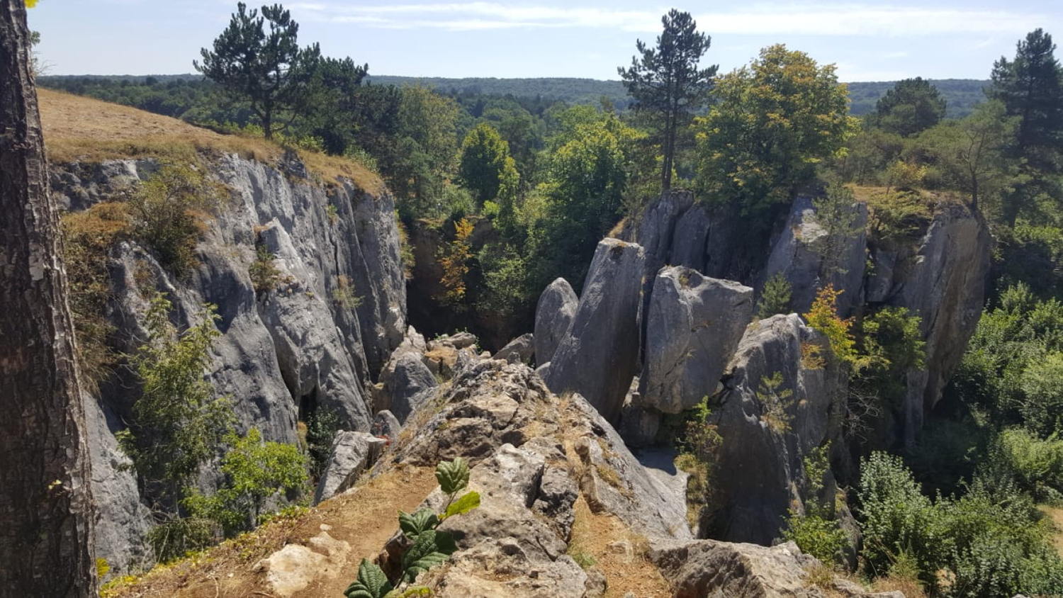 Fondry des Chiens (c) Sandrine Delcourt