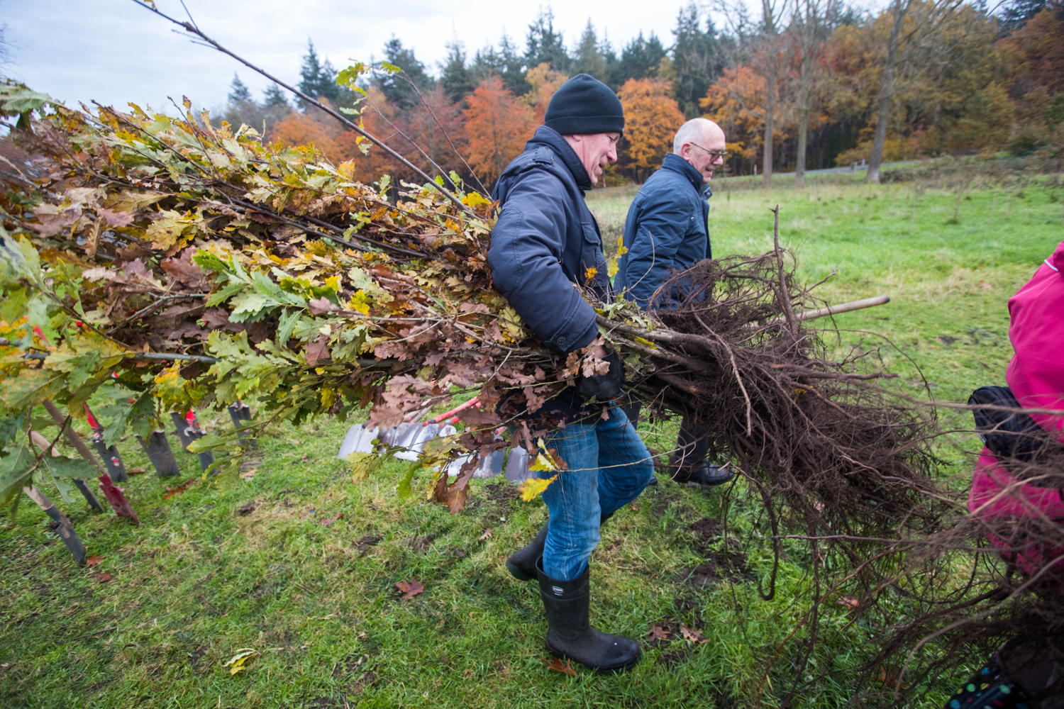 beplantingsactie Hospicebossen 2019 - copyright Lieven Van Assche