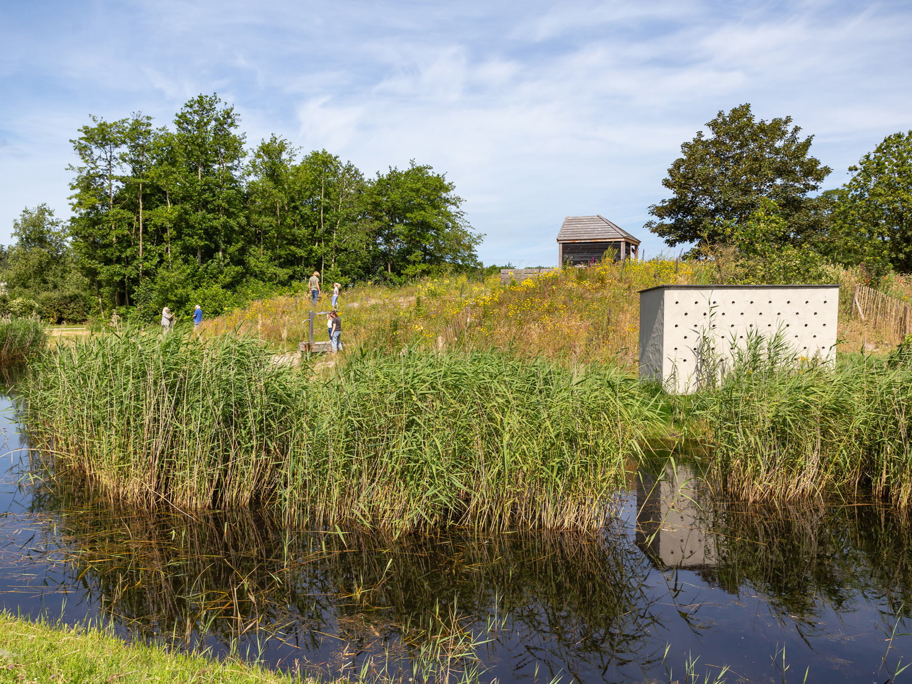 Slim gebruik van de natuur verhoogt gastbeleving: Roompot Kustpark Texel inspireert met groen beleid