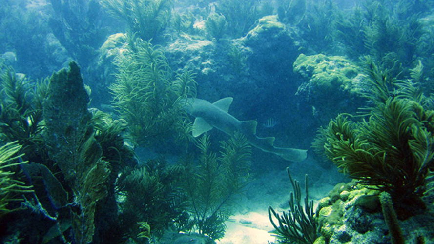 Biscayne National Park, FL