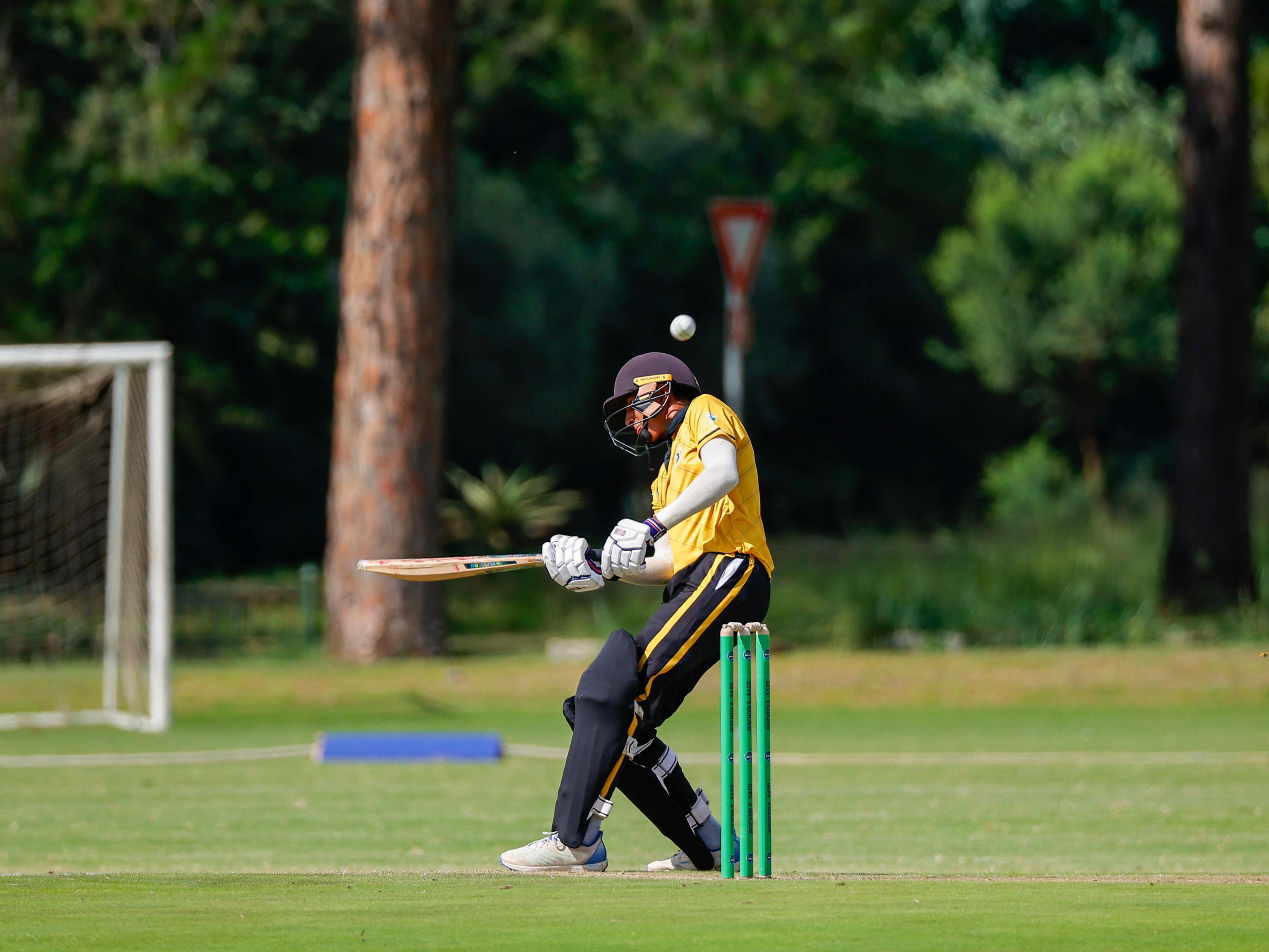 St David's' Morteza Manack stars with bat and ball in an action-packed Schools SA20 opening day