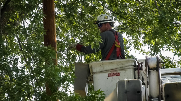 Duquesne Light Company Launches Annual Vegetation Management Efforts to Support Service Reliability and Safety