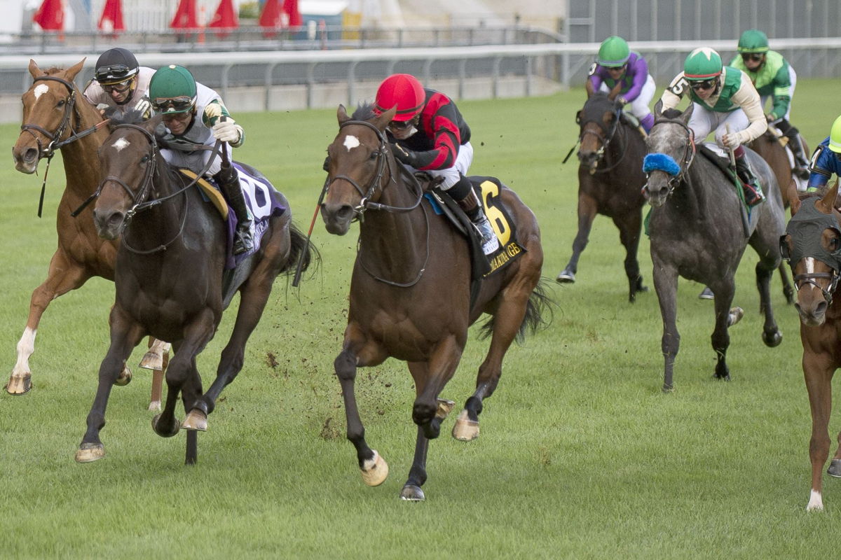 Mutamakina winning the 2021 Gr. 1 E.P. Taylor Stakes. The Clement trainee also won last year's Ladies of the Lawn Series. (Michael Burns photo)
