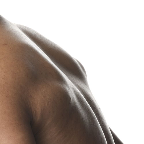2024-03-12-ORD-BodyCare-Human-BodyScape-NoProduct-Y-02-1x1 2024-03-12-ORD-BodyCare-Human-BodyScape-NoProduct-Y-02-1x1