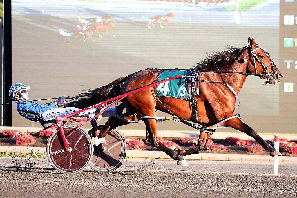 Oakwoodanabella IR (New Image Media)