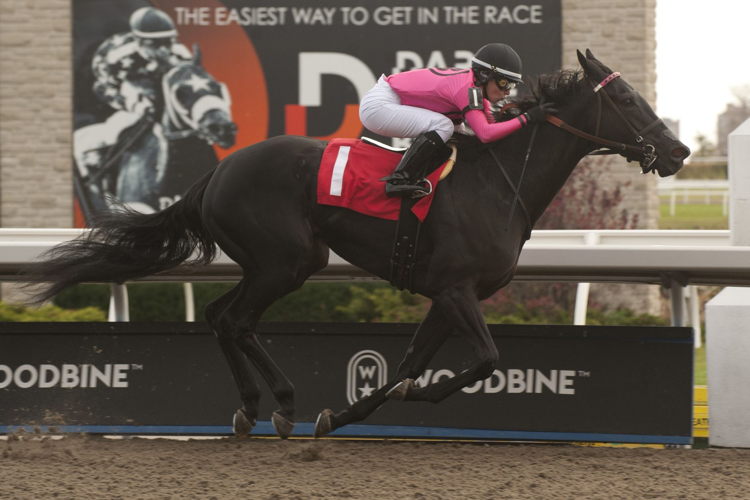 Sophia Vives and Swinging Mandy winning on the Woodbine Tapeta on November 5, 2022 (Michael Burns Photo)