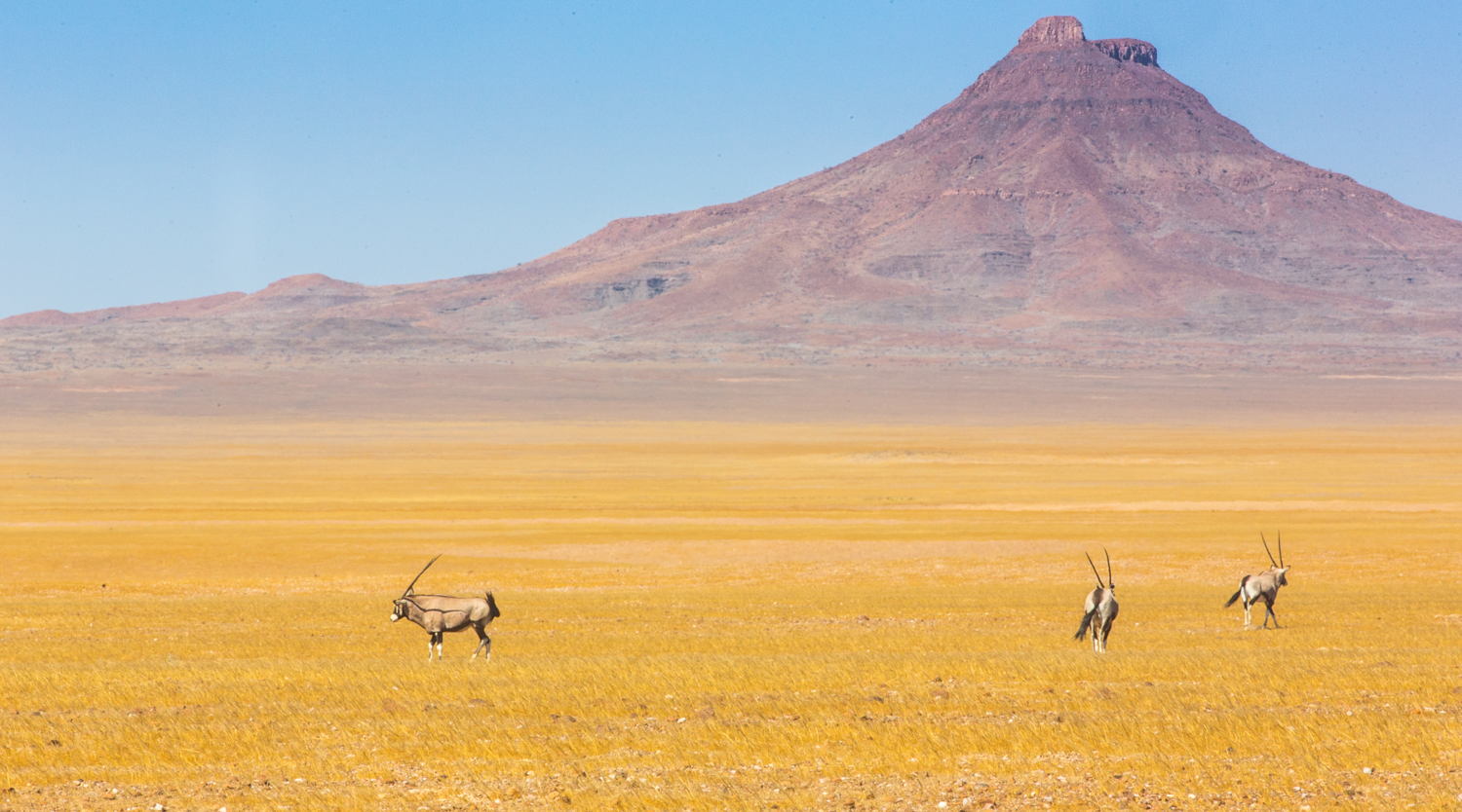Namibia Inspiration