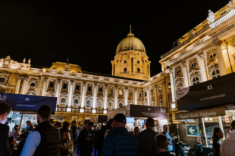 Budapest Wine Festival