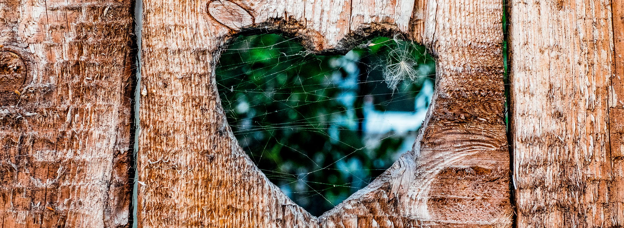 Valentijn zonder prijskaartje: praten over geld in de liefde blijft moeilijk