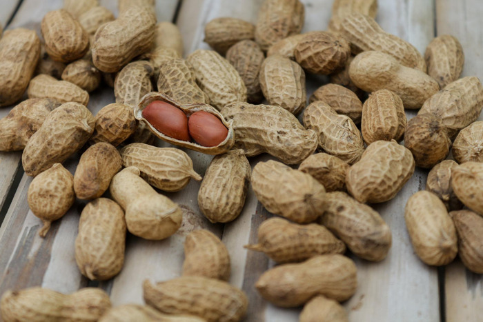 In a first, ICRISAT uses X-ray to assess peanuts' quality