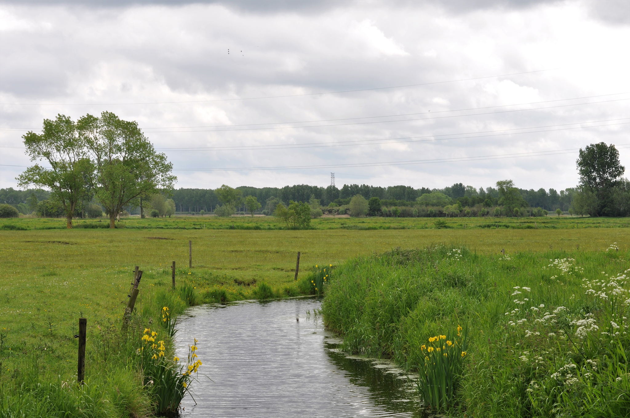 Meer zorg voor water zodat we de klimaatveranderingen aan kunnen