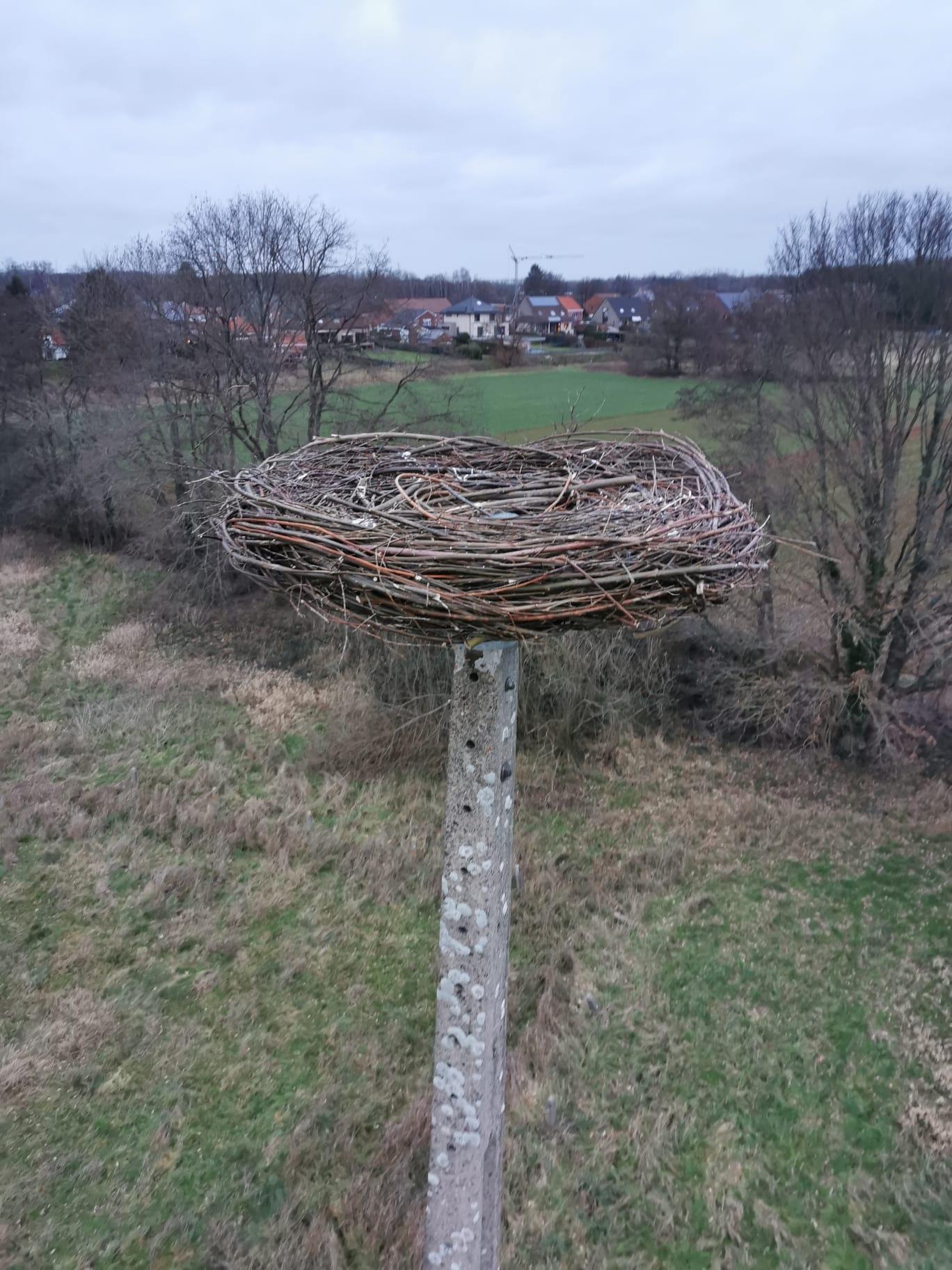 Een ooievaarsnest, geplaatst op een bestaande verlichtingspaal aan het Bruggenhof in Begijnendijk Een ooievaarsnest, geplaatst op een bestaande verlichtingspaal aan het Bruggenhof in Begijnendijk