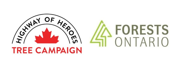 Forests Ontario and Highway of Heroes Collaborate to Honour Canadian Soldiers
