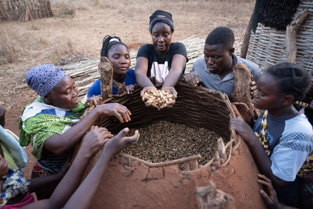 Esther Zulu and other farmers examine their groundnut yield (Photo courtesy:  Kelvin Trautman | Kands Collective)