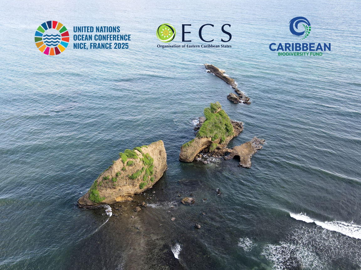 A United Caribbean Voice for the Ocean: OECS Member States and CBF to Amplify Regional Action at UNOC-3
