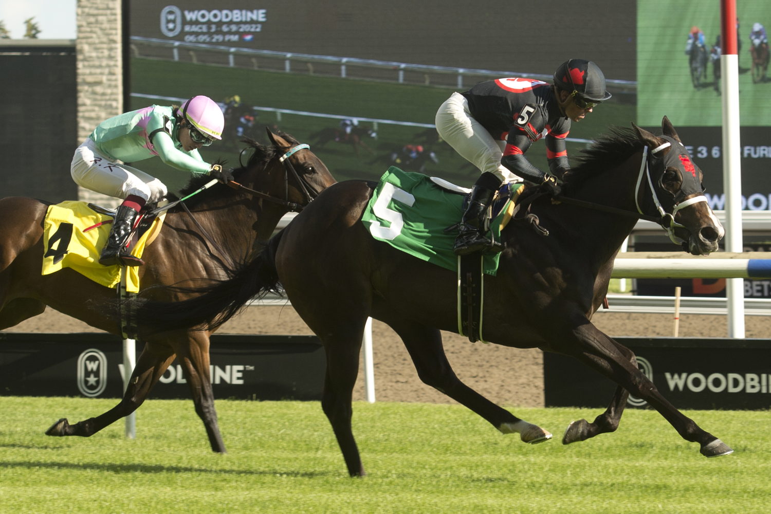 Breathing Fire and Justin Stein winning on June 9, 2022 at Woodbine. (Michael Burns Photo) 