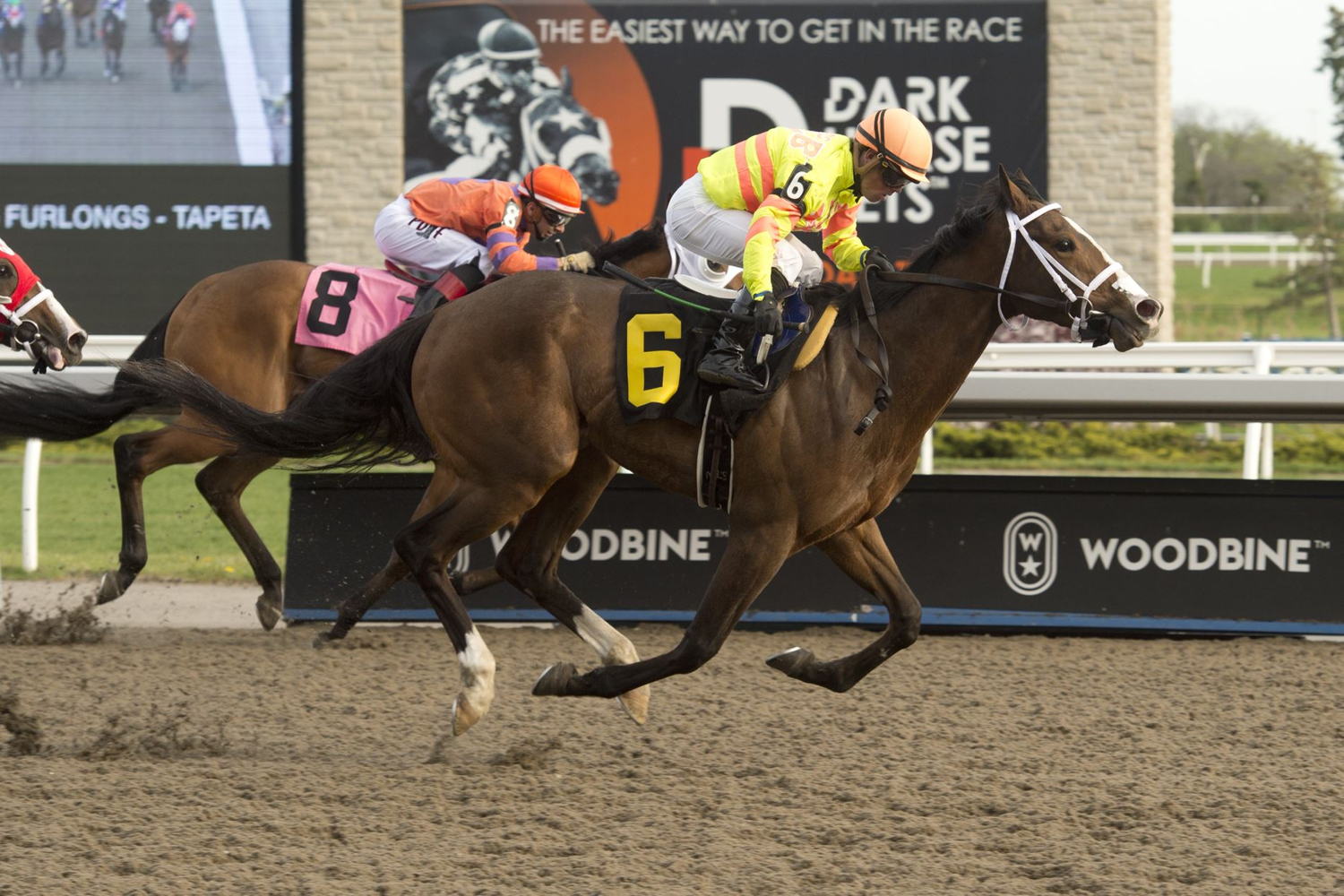 Chairman Bob and jockey Justin Stein on May 13 2022. (Michael Burns Photo)