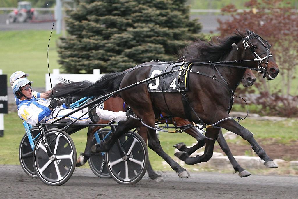 Silver Label winning the SBOA 3-Year-Old Filly Pace. (New Image Media)