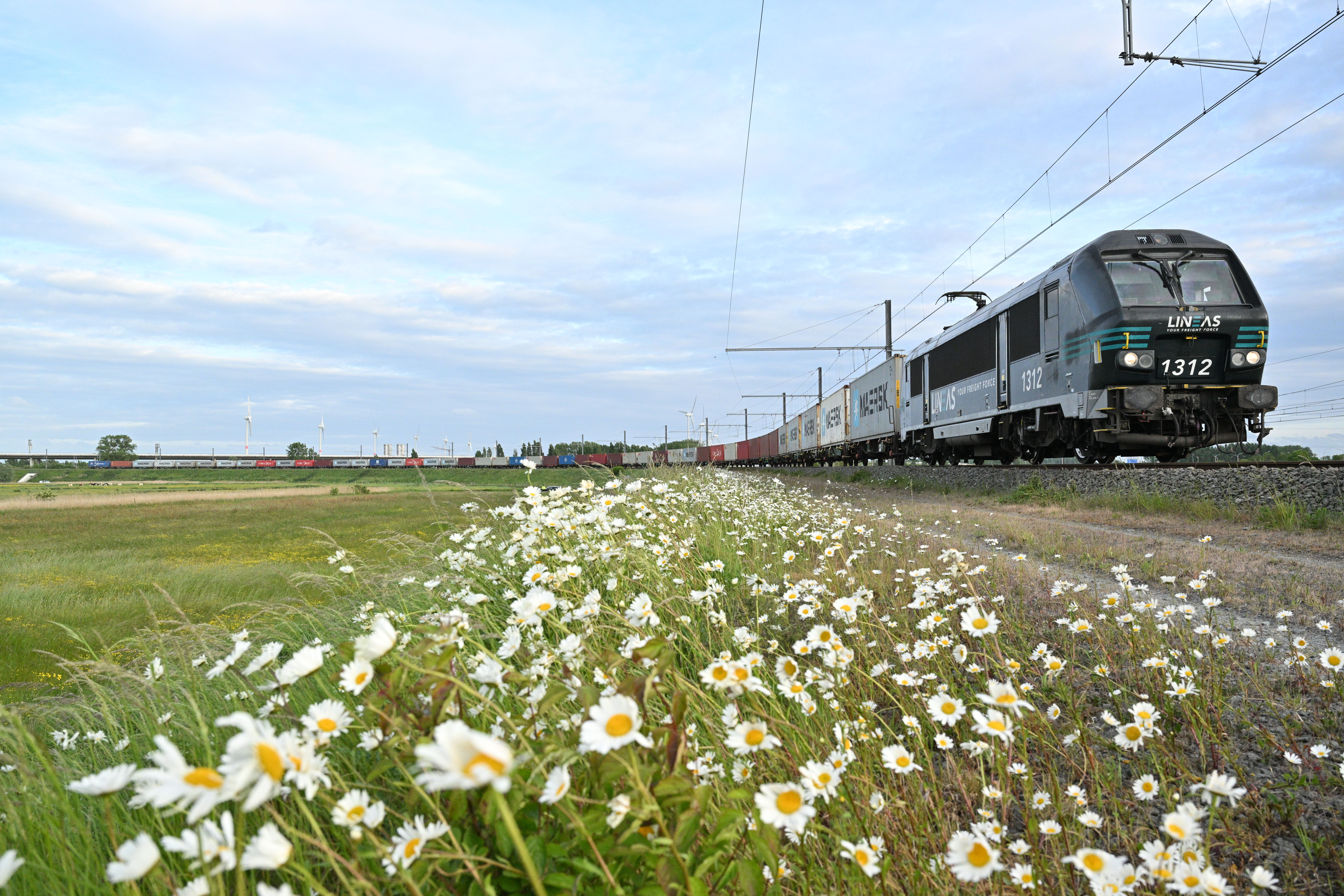 New direct rail link between Zeebrugge and Antwerp strengthens sustainable hinterland connectivity