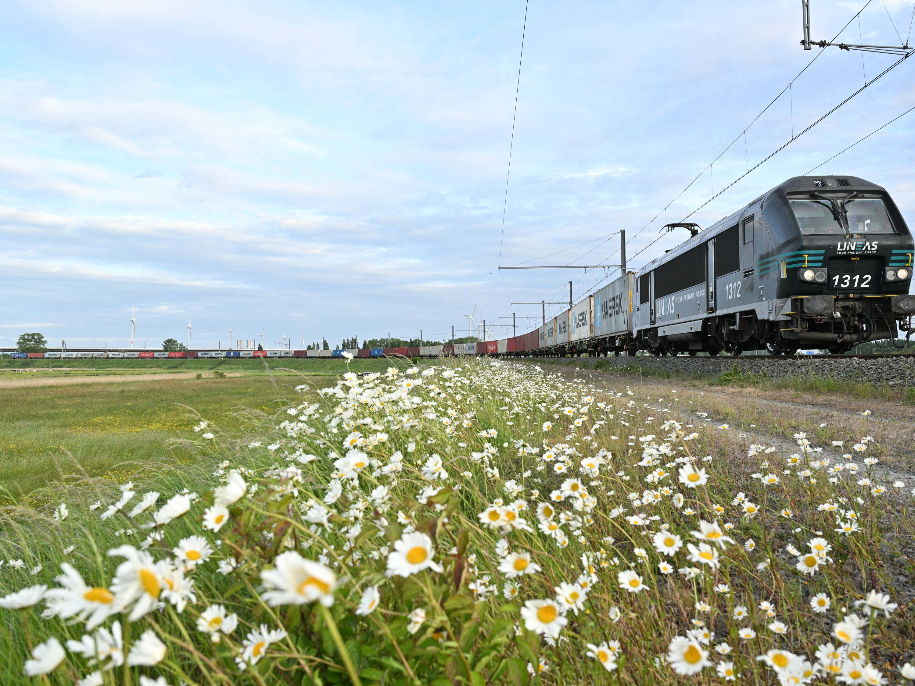 PSA Antwerp et Lineas lancent une nouvelle liaison ferroviaire directe entre Zeebrugge et Anvers, améliorant ainsi la connectivité durable avec l'arrière-pays.