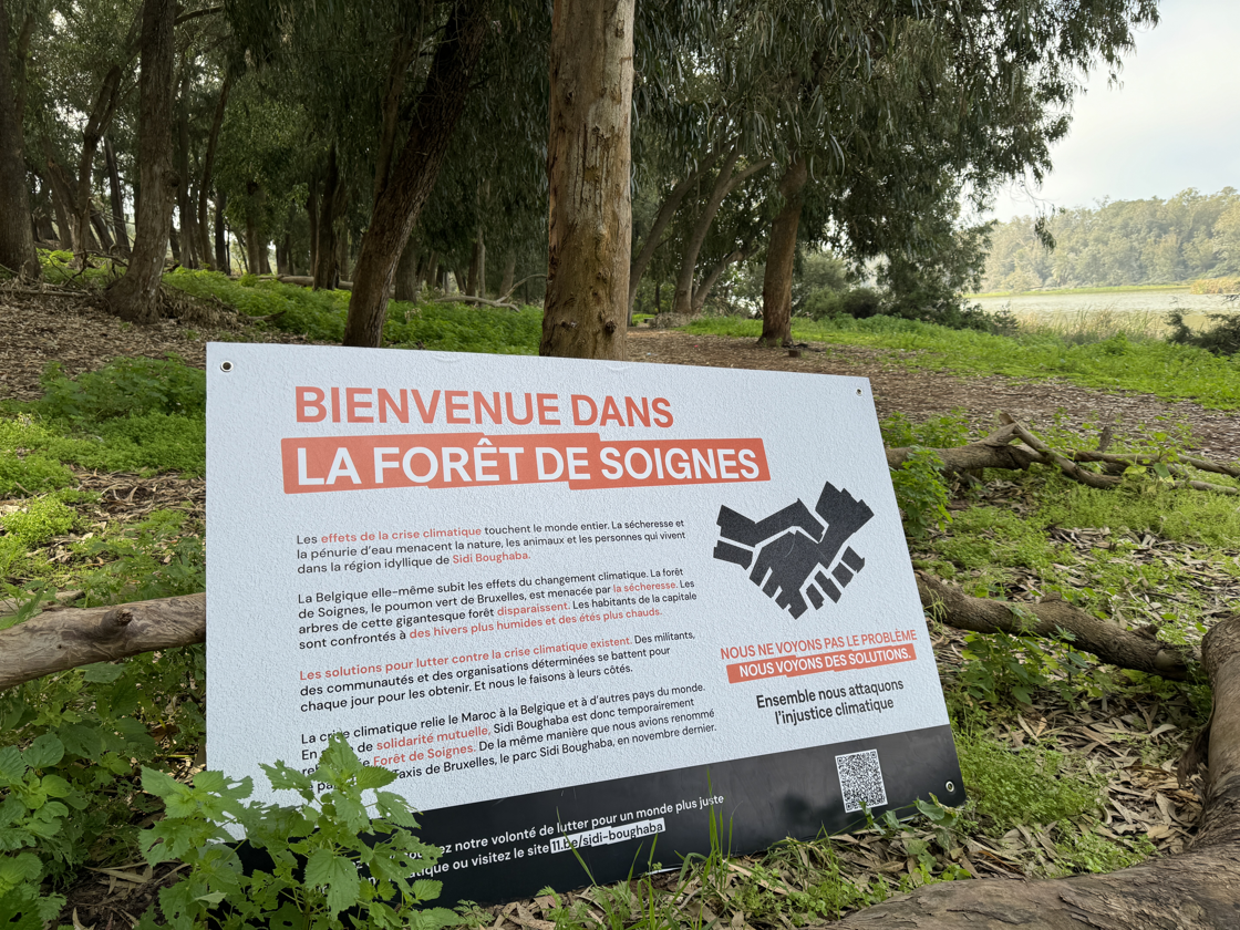 Sidi Boughabapark in Marokko wordt tijdelijk omgedoopt tot Zoniënwoud: “Het klimaatonrecht laat zich overal voelen”