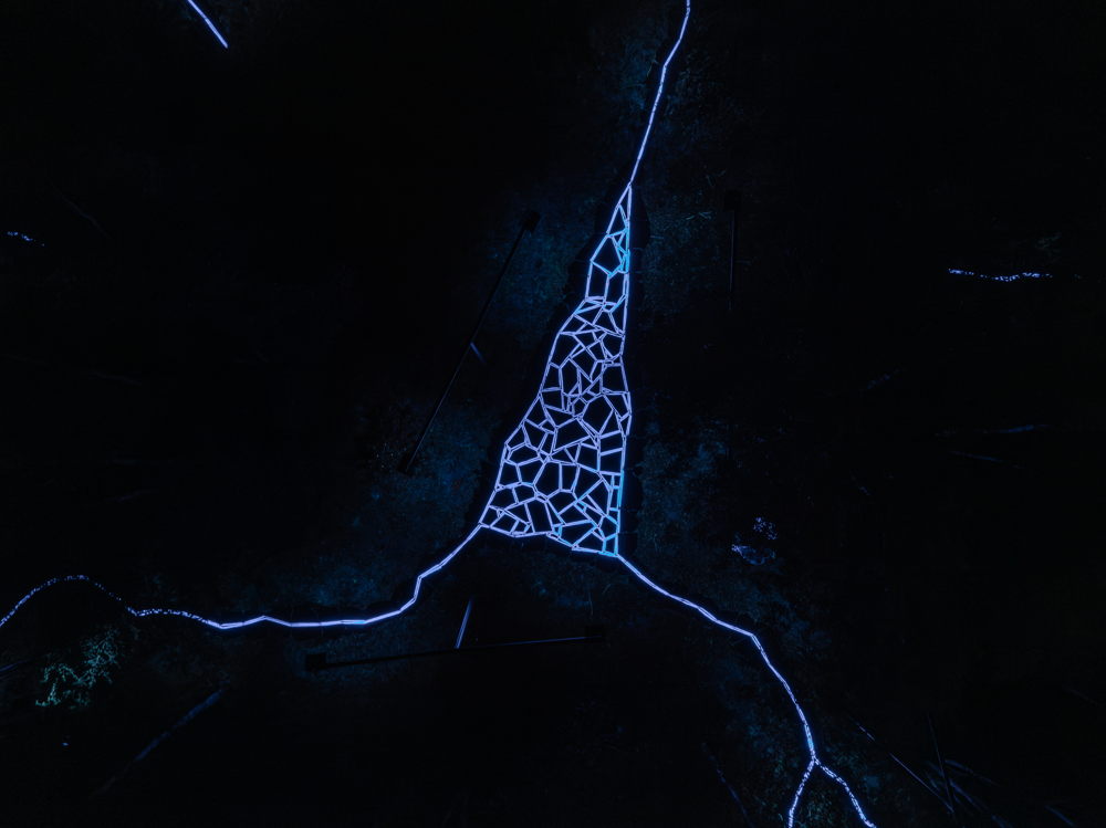 17LichtsporenRoosegaarde