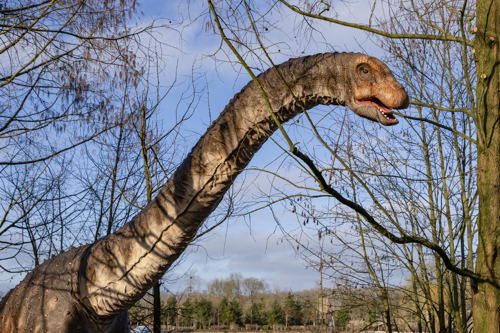 Wintonotitan