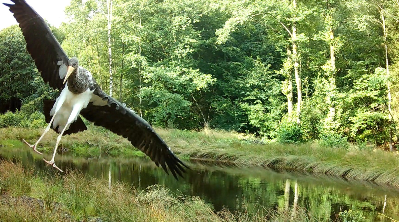 Story image