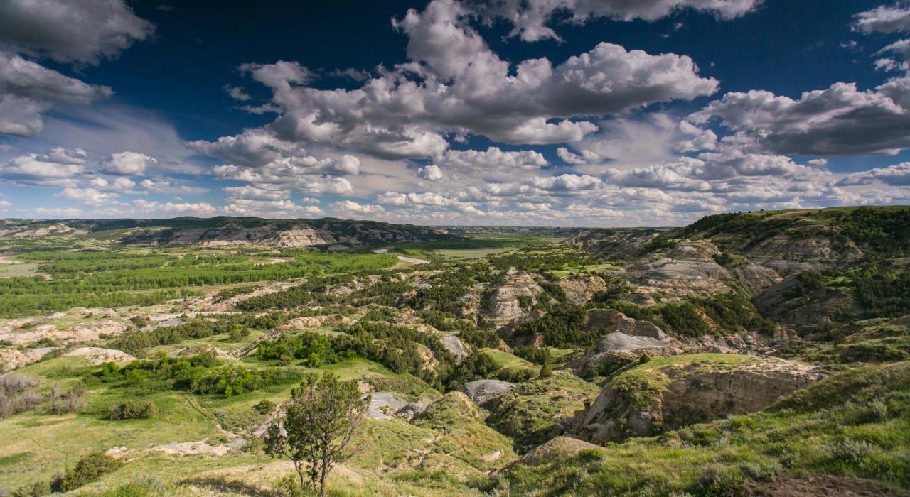 Theodore Roosevelt National Park, ND