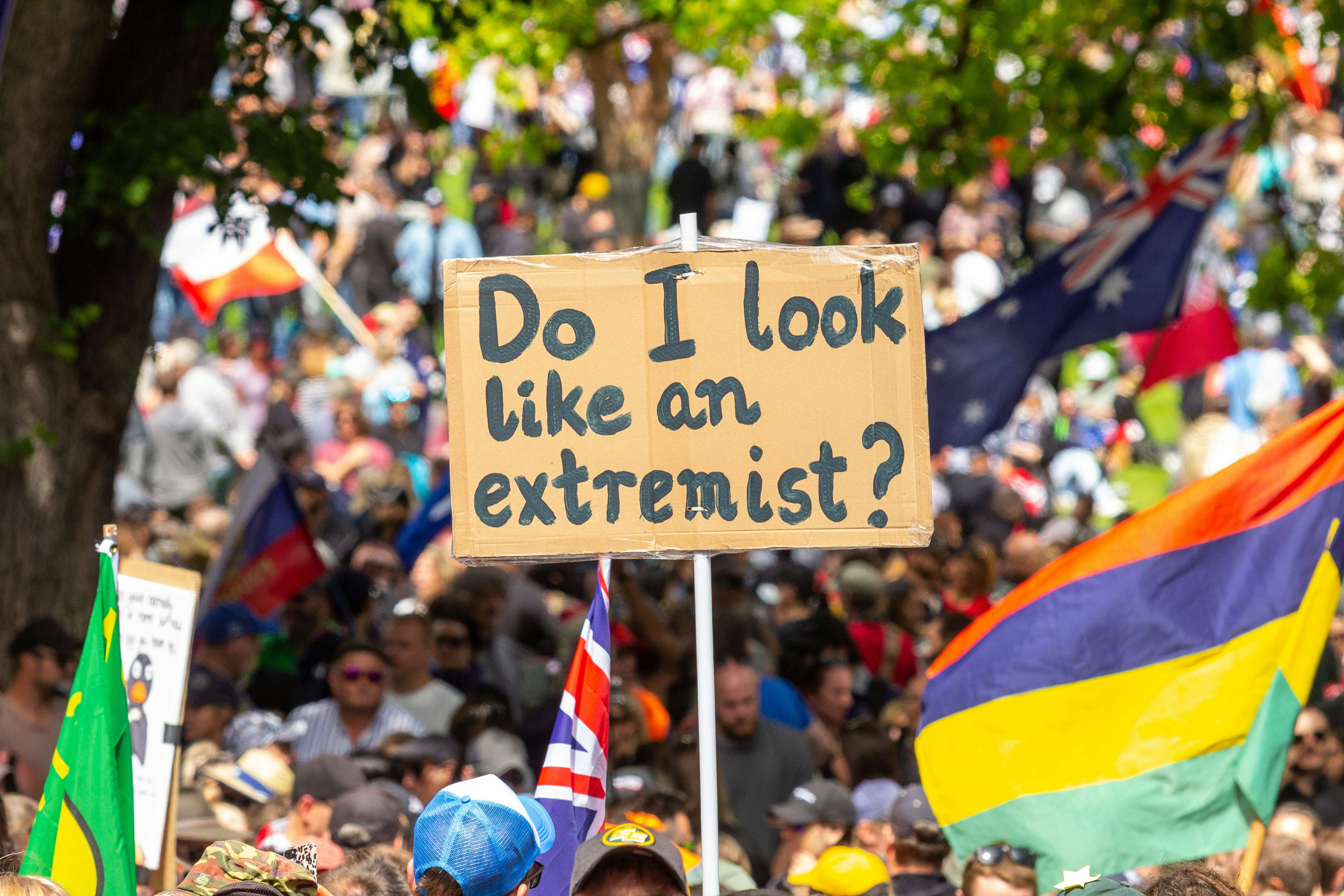  ✊ Standing Up for Democracy and Inclusion l Your PES Group Newsletter 
