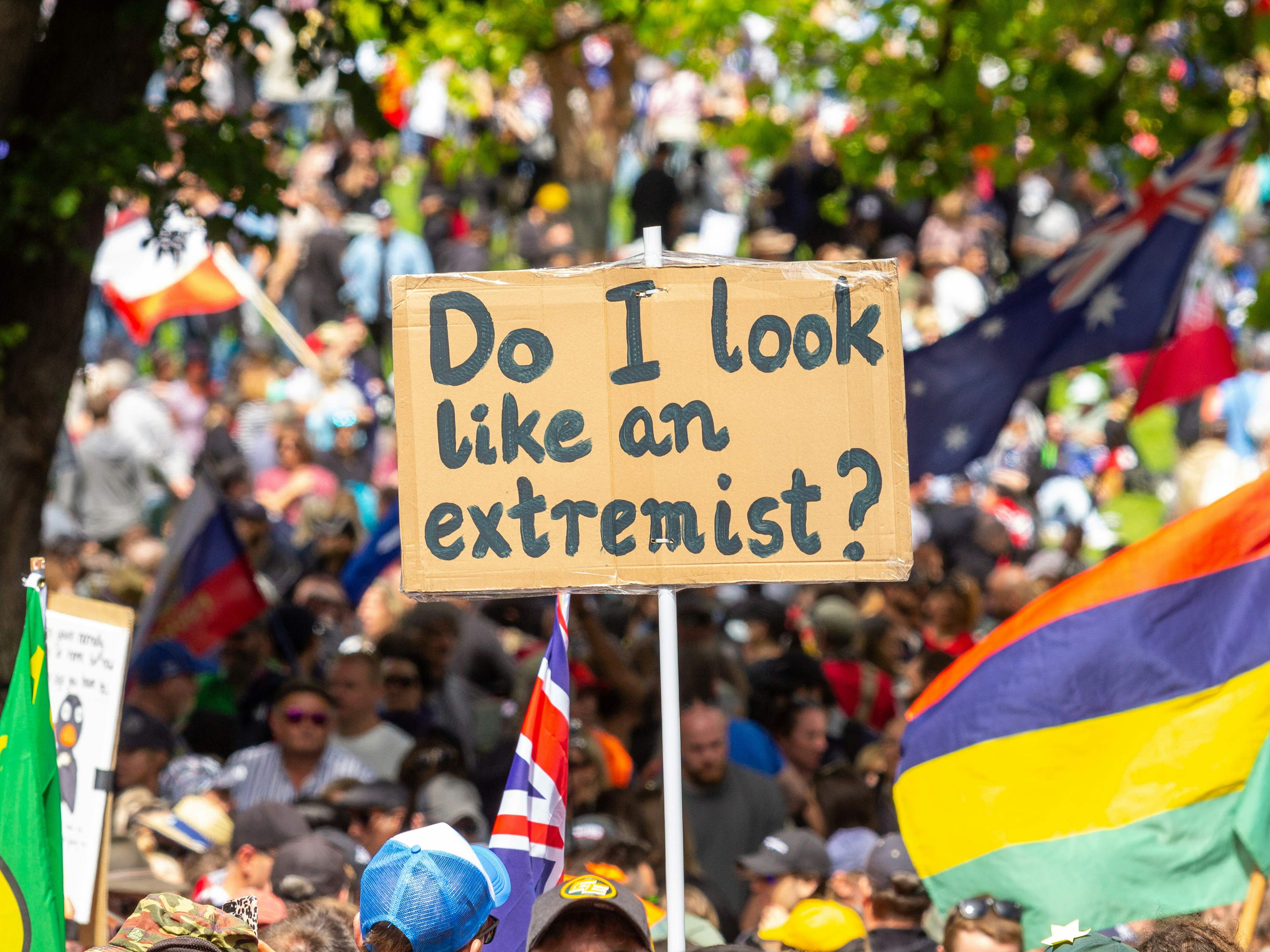  ✊ Standing Up for Democracy and Inclusion l Your PES Group Newsletter 