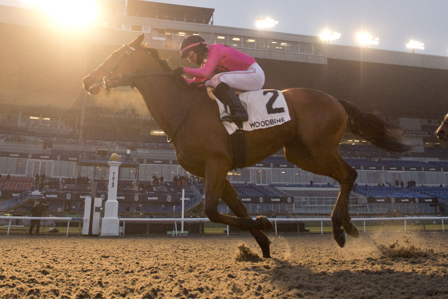 Conglomerate and jockey Luis Contreras winning the Valedictory Stakes on December 3, 2023 at Woodbine (Michael Burns Photo)