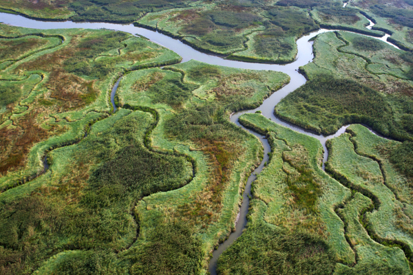 UNESCO recognises Schelde Delta as a Global Geopark