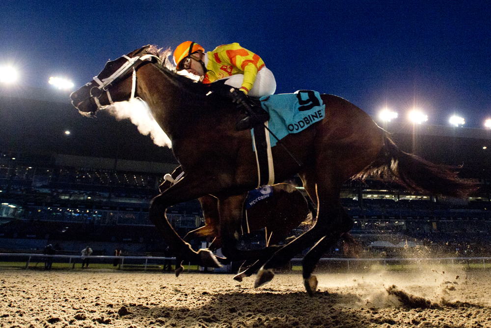 Induation and jockey Leo Salles winning the Princess Elizabeth Stakes on November 25, 2023 at Woodbine (Michael Burns Photo)
