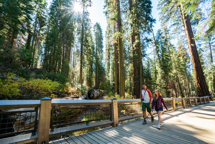 Yosemite National Park, CA