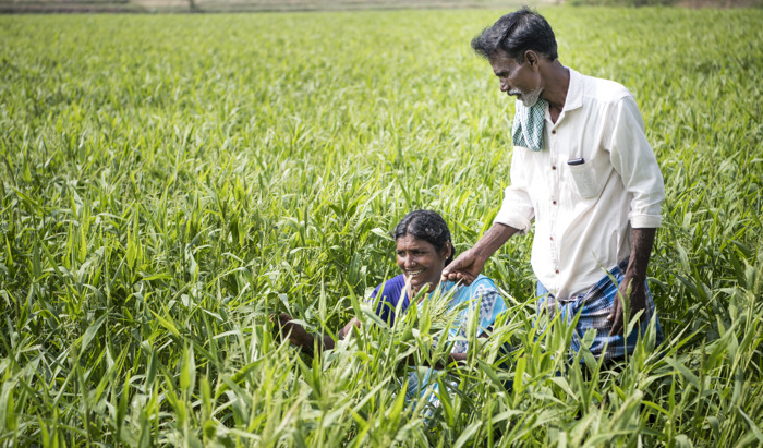 Preview: ICRISAT and Government of Bihar Forge Alliance to Propel Bihar's Agricultural Roadmap