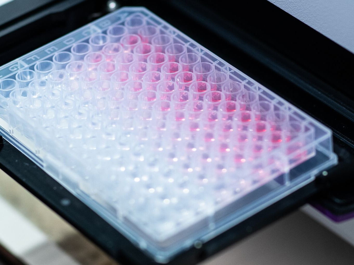 Darmkanker detecteren dankzij microben