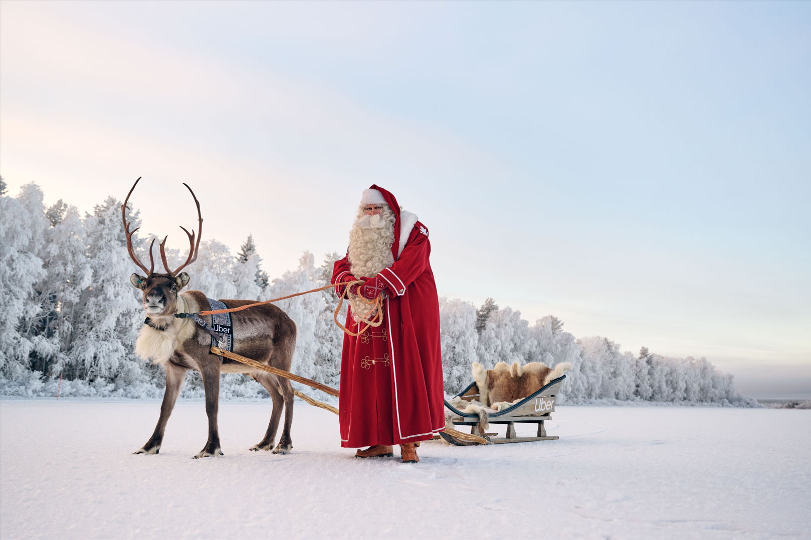 Uber Sleigh: Boek een magische rit met een rendierslee door Lapland