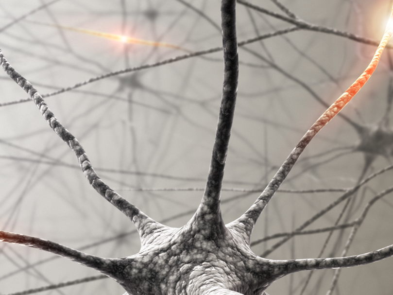 A new pharmaceutical target for schwannoma?