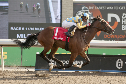 Forever Dixie takes inside track to Ontario Damsel victory