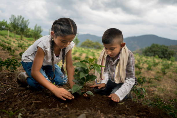 Seeds of Opportunity: The African Growth Series