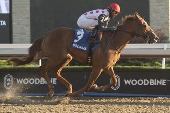 Souper Sensational capturing the 2020 edition of the Glorious Song Stakes at Woodbine. (Michael Burns Photo)