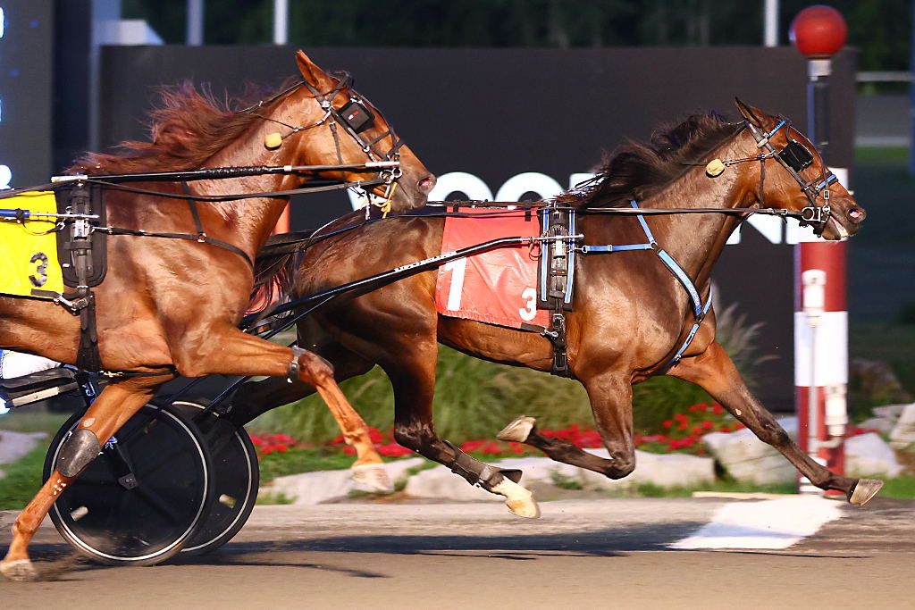 Monkey Queen winning a division of the Simcoe. (New Image Media)