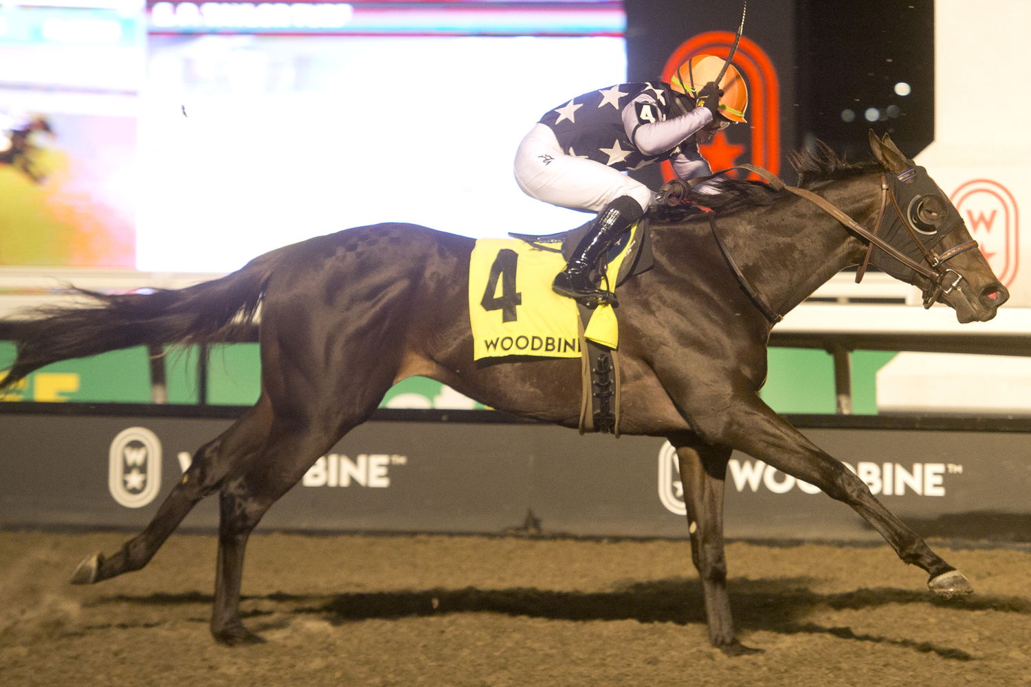 Notorious Gangster winning the Coronation Futurity last November. (Michael Burns Photo)