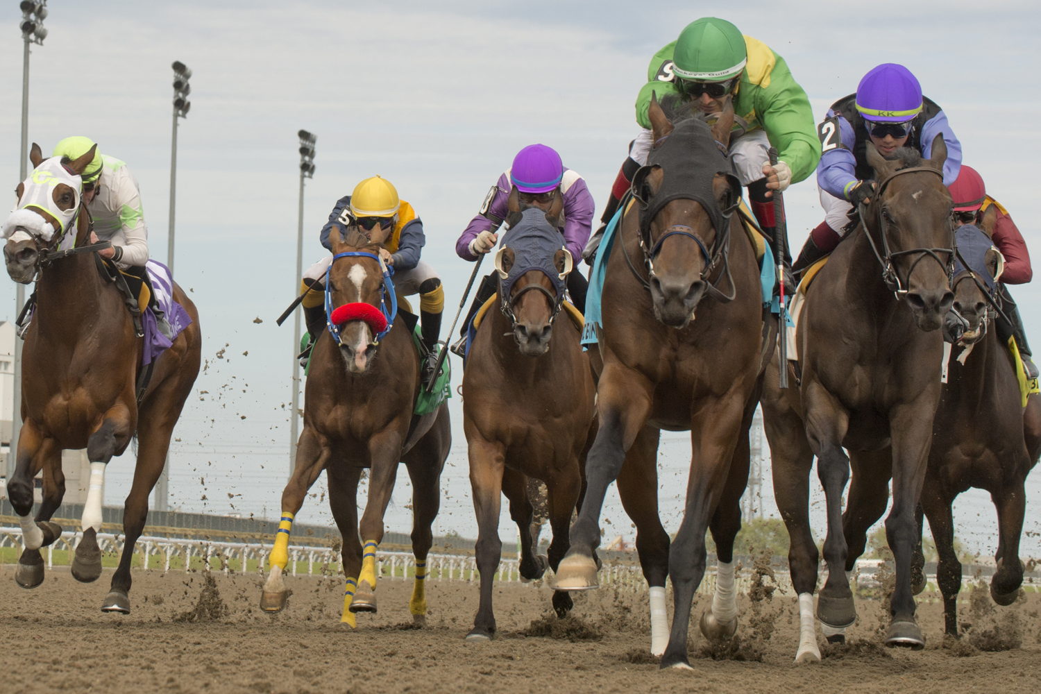 Mason's Gamble (9), under Rafael Hernandez, winning the Ontario Jockey Club Stakes at Woodbine Sunday. (Michael Burns Photo)